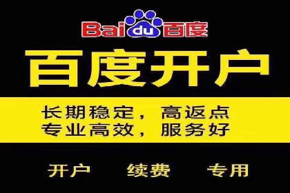 SEM推广代运营公司：实战案例解析